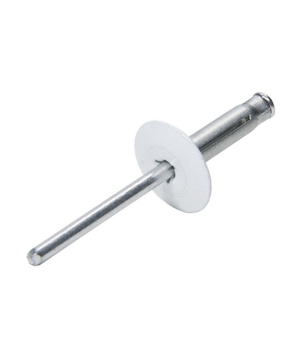 Allstar Large Head Rivet White 250pk ALL18061